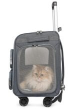 Large Capacity Portable Pet Suitcase for Universal - Image 10