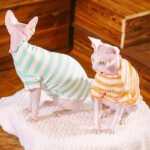Cotton Stripes Lightweight Fabric Sphynx Cat Clothes - Image 16