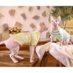 Cotton Stripes Lightweight Fabric Sphynx Cat Clothes - Image 17
