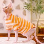 Cotton Stripes Lightweight Fabric Sphynx Cat Clothes - Image 8