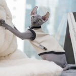 Cotton Color-block Lightweight Fabric Sphynx Cat Clothes