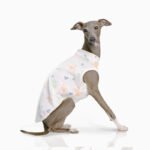Cotton Print Lightweight Fabric Grayhound Clothes