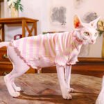 Cotton Stripes Lightweight Fabric Sphynx Cat Clothes - Image 2
