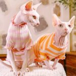 Cotton Stripes Lightweight Fabric Sphynx Cat Clothes - Image 5