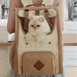 Large Capacity Pet Car Safety Seat for Universal - Image 2