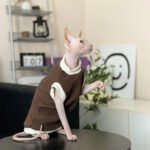 Cotton Sleeveless Breathable Sphynx Cat Clothes - Image 5