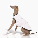 Cotton Print Lightweight Fabric Grayhound Clothes - Image 3