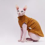 Cotton Stripes Breathable Sphynx Cat Clothes - Image 2