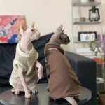 Cotton Sleeveless Breathable Sphynx Cat Clothes - Image 9