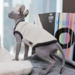 Cotton Color-block Lightweight Fabric Sphynx Cat Clothes - Image 5