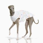 Cotton Print Lightweight Fabric Grayhound Clothes - Image 3