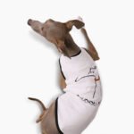 Cotton Print Lightweight Fabric Grayhound Clothes - Image 2