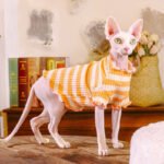 Cotton Stripes Lightweight Fabric Sphynx Cat Clothes - Image 6