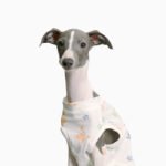 Cotton Print Lightweight Fabric Grayhound Clothes - Image 4