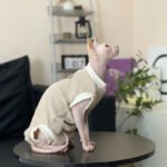 Cotton Sleeveless Breathable Sphynx Cat Clothes - Image 3