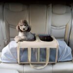 Large Capacity Portable Pet Bag for Universal - Image 2