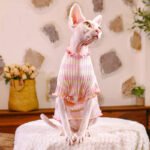 Cotton Stripes Lightweight Fabric Sphynx Cat Clothes