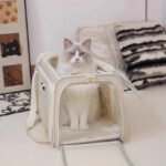 Large Capacity Pet Aviation Case for Cats - Image 2