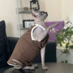 Cotton Sleeveless Breathable Sphynx Cat Clothes - Image 7
