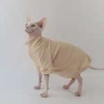Cotton Solid Color Breathable Sphynx Cat Clothes - Image 3