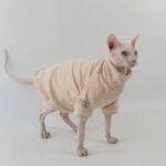 Cotton Solid Color Breathable Sphynx Cat Clothes - Image 4