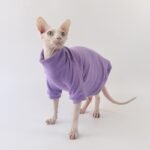 Cotton Solid Color Lightweight Fabric Sphynx Cat Clothes - Image 4