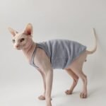 Cotton Solid Color Breathable Sphynx Cat Clothes - Image 2