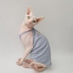 Cotton Solid Color Breathable Sphynx Cat Clothes - Image 3