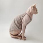 Cotton Solid Color Breathable Sphynx Cat Clothes - Image 9