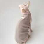 Cotton Solid Color Breathable Sphynx Cat Clothes - Image 8
