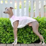 Polyester Color-block Breathable Grayhound Clothes - Image 2