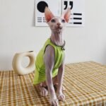 Cotton Sleeveless Lightweight Fabric Sphynx Cat Clothes - Image 4