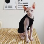 Cotton Sleeveless Lightweight Fabric Sphynx Cat Clothes - Image 5