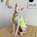 Cotton Sleeveless Lightweight Fabric Sphynx Cat Clothes