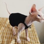Cotton Sleeveless Lightweight Fabric Sphynx Cat Clothes - Image 8