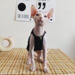 Cotton Sleeveless Lightweight Fabric Sphynx Cat Clothes - Image 7