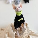 Cotton Turtleneck Windproof Sphynx Cat Clothes - Image 5