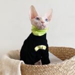 Cotton Turtleneck Windproof Sphynx Cat Clothes - Image 6