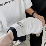 Cotton Print Breathable Sphynx Cat Clothes - Image 5