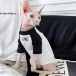 Cotton Print Breathable Sphynx Cat Clothes - Image 3