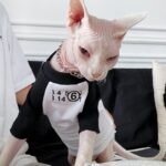 Cotton Print Breathable Sphynx Cat Clothes - Image 4