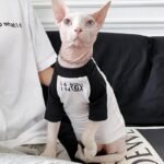 Cotton Print Breathable Sphynx Cat Clothes - Image 2