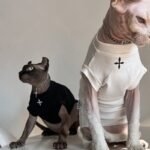 Cotton Print Breathable Sphynx Cat Clothes