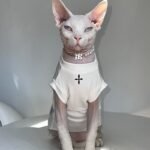 Cotton Print Breathable Sphynx Cat Clothes - Image 2