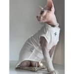 Cotton Print Breathable Sphynx Cat Clothes - Image 5