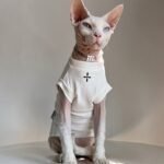 Cotton Print Breathable Sphynx Cat Clothes - Image 6