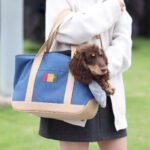 Anti-stress design Portable Pet Bag for Universal - Image 2