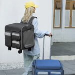 Large Capacity Portable Pet Suitcase for Universal - Image 3