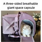 Large Capacity Portable Cat Bag for Universal - Image 3