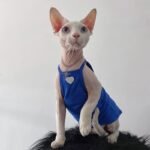 Cotton Sleeveless Breathable Sphynx Cat Clothes - Image 4